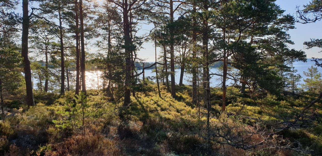 ホテル Rolfskaerrs Stugby Nygård エクステリア 写真